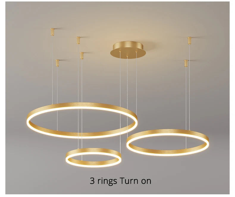 Modern Led Ceiling Chandelier Circular Ring Chandelier Living Bedroom Dining Room Lighting Home Indoor Lighting Decor Chandelier
