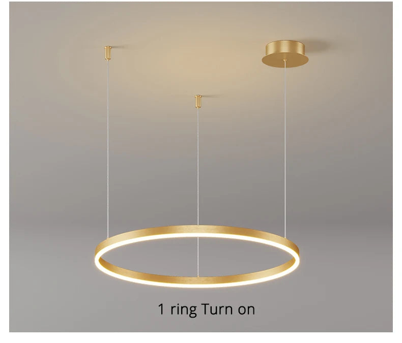 Modern Led Ceiling Chandelier Circular Ring Chandelier Living Bedroom Dining Room Lighting Home Indoor Lighting Decor Chandelier