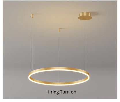 Modern Led Ceiling Chandelier Circular Ring Chandelier Living Bedroom Dining Room Lighting Home Indoor Lighting Decor Chandelier